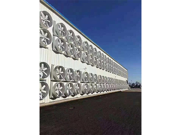 1460塑鋼負(fù)壓排風(fēng)機1260玻璃鋼負(fù)壓排風(fēng)機