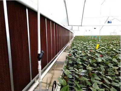 什么是水簾風(fēng)機(jī)？