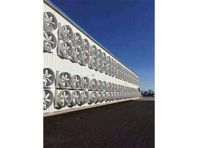 1460塑鋼負(fù)壓排風(fēng)機1260玻璃鋼負(fù)壓排風(fēng)機